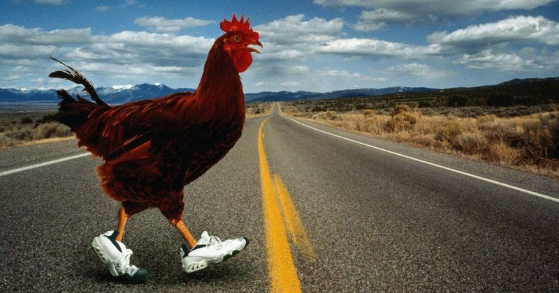 Chicken road españa - Explora el mundo del juego Chicken Road en España de manera oficial