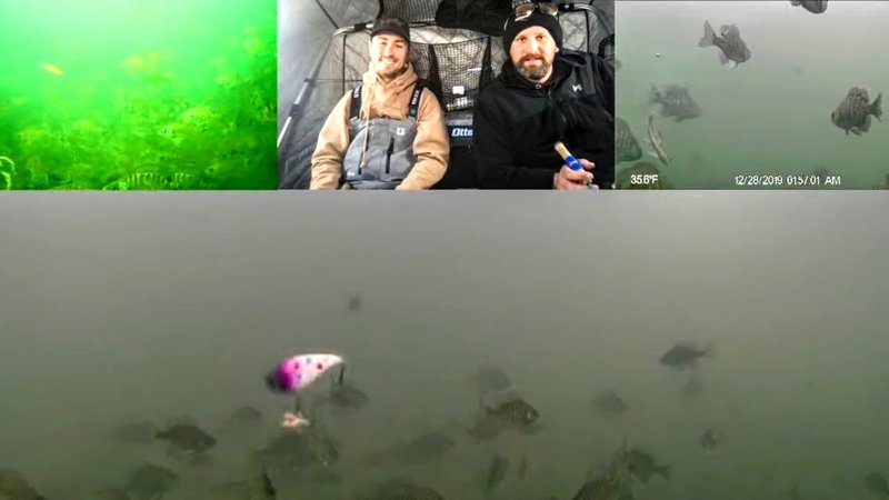 Experience the Thrill of Catching Big Winnings in UK's Top Ice Fishing Casinos - overview Experience the Thrill of Catching Big Winnings in UK's Top Ice Fishing Casinos - overview